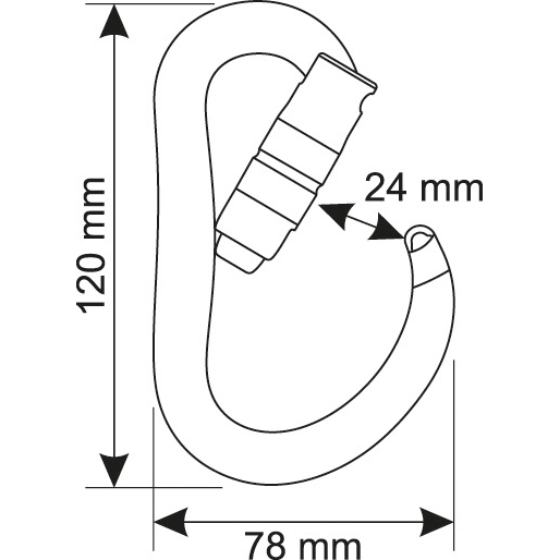 CAMP Atom 2Lock Carabiner