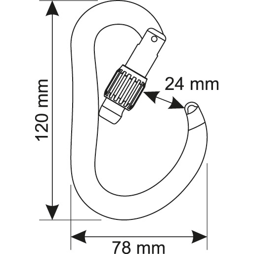 CAMP Atom Lock Carabiner