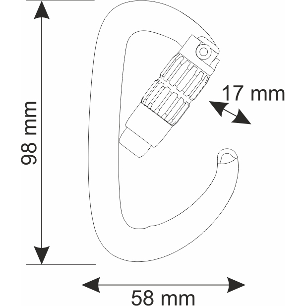 CAMP Orbit 2Lock Carabiner