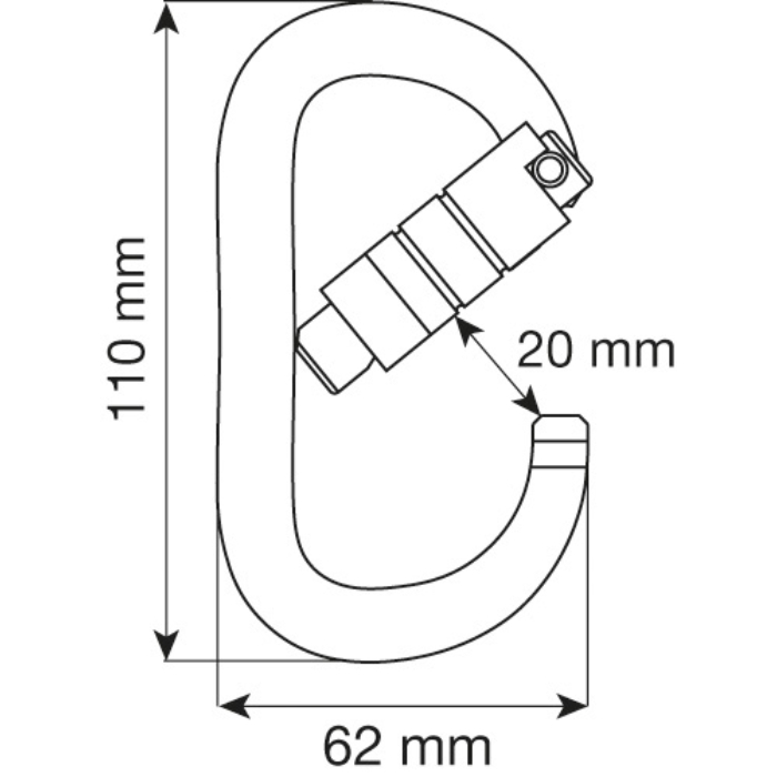 Camp Oval Xl 2Lock Carabiner