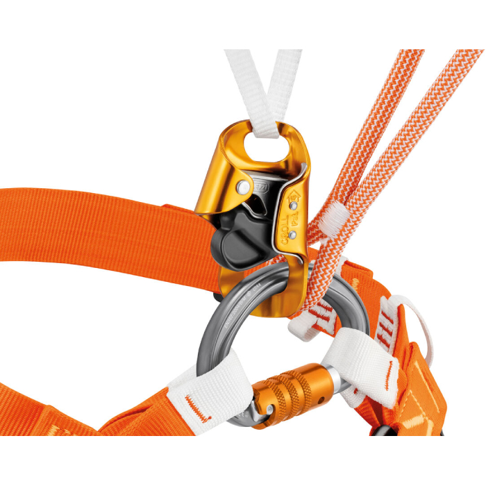 Petzl Omni Triact Lock Carabiner