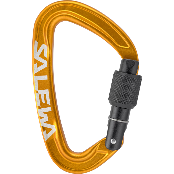 Salewa Ortles Screw Carabiner