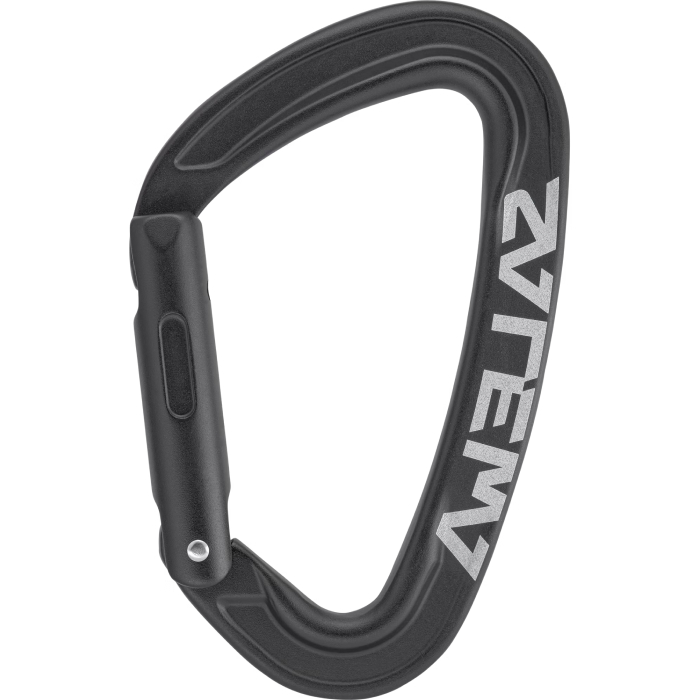 Salewa Ortles Straight Carabiner