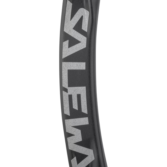 Salewa Ortles Straight Carabiner