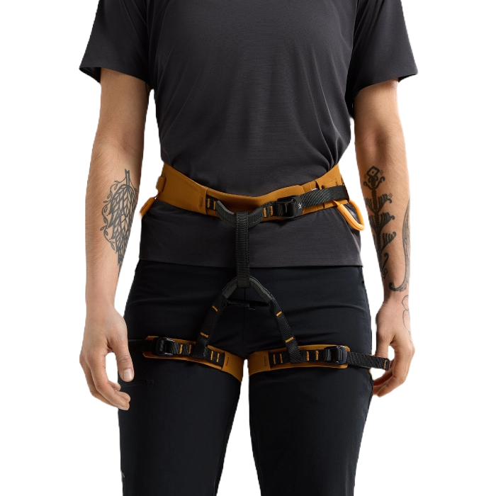 Arc'teryx AR 385a Harness