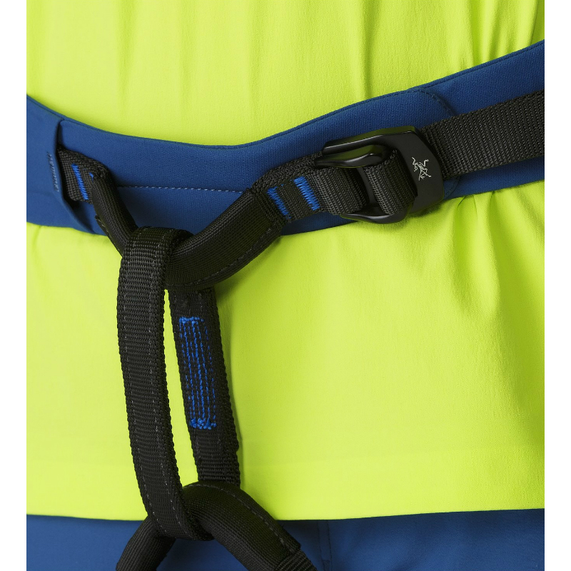 Arc'teryx FL 355 Harness