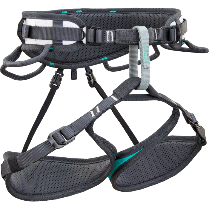 Climbing Technology Ascent Harness