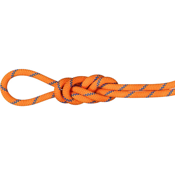 Mammut 9.0mm Alpine Sender Dry Rope