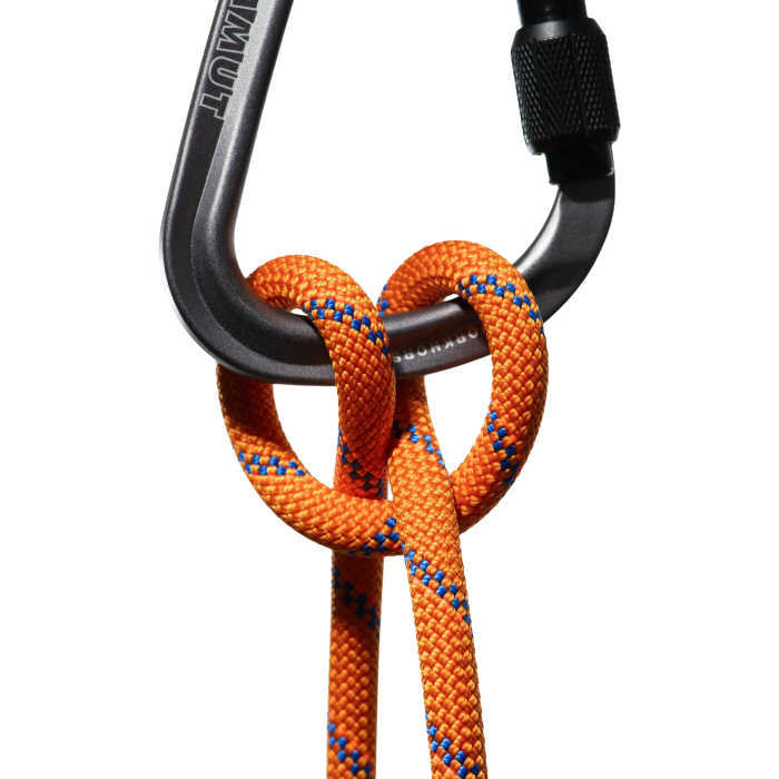 Mammut 9.0mm Alpine Sender Dry Rope