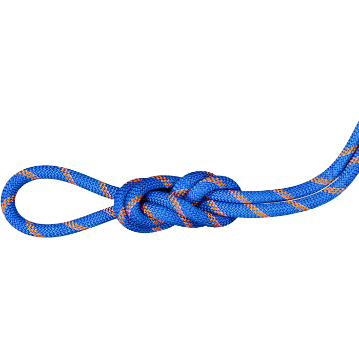 Mammut 9.0mm Alpine Sender Dry Rope