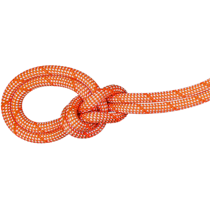 Mammut 9.8mm Crag Classic Rope