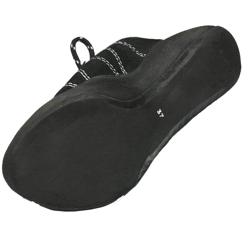 Alpedix Black Panther Shoe