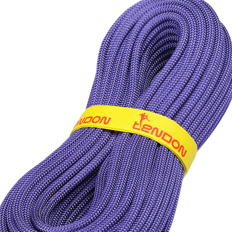 Tendon 9.1 MM Ambition 40m Dry