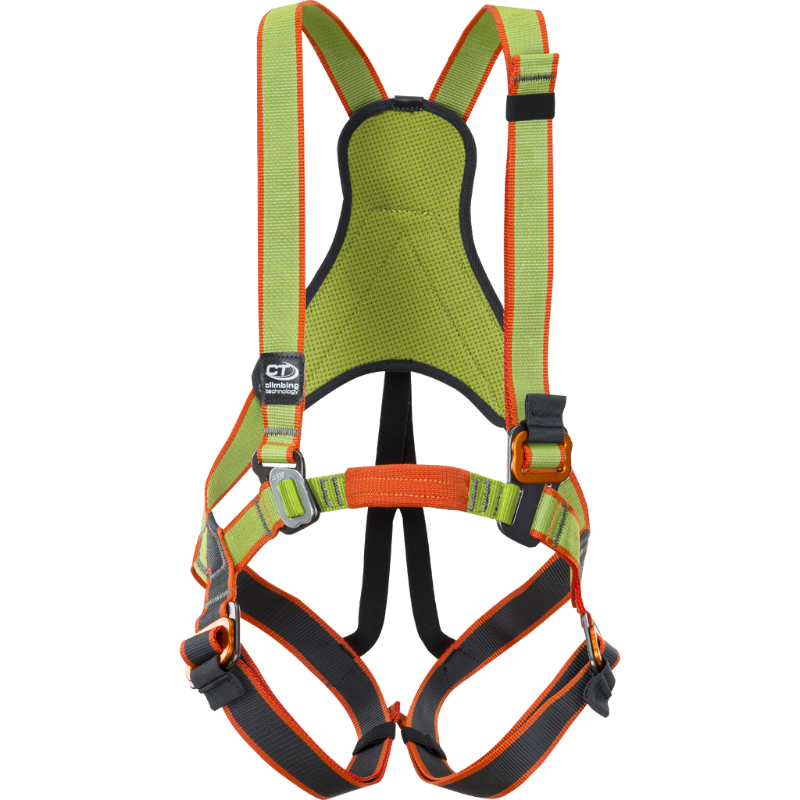 What Are Full Body Harnesses? - WeighMyRack