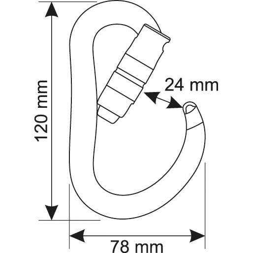 CAMP Atom 2Lock Carabiner