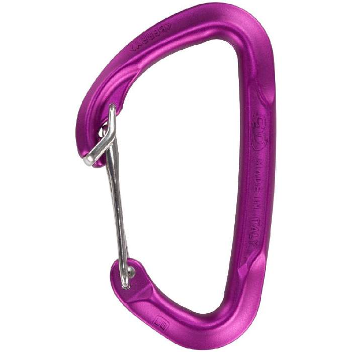 Climbing Technology Berry W Carabiner