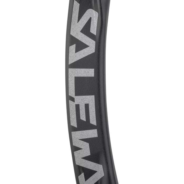 Salewa Ortles Straight Carabiner