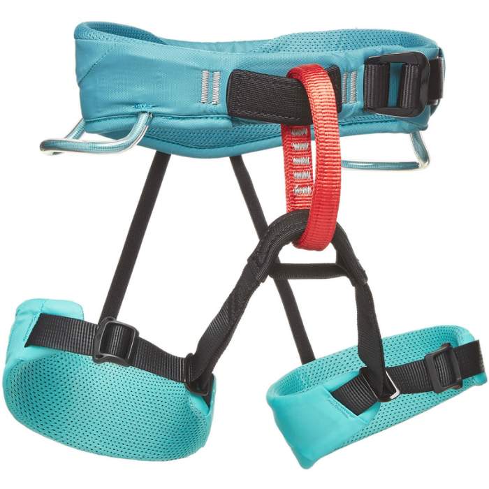 Black Diamond Momentum Kids Harness