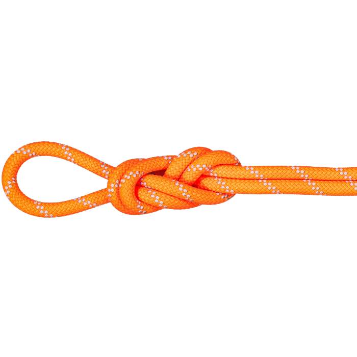 Mammut 9.5mm Alpine Dry Rope