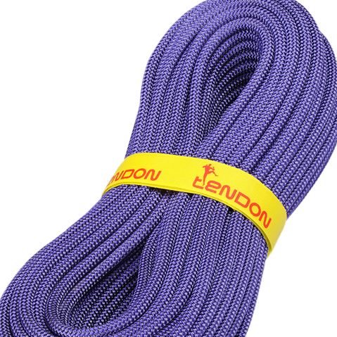 Tendon 9.1 MM Ambition 30m Dry