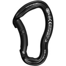 Kong Ergo Bent