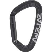 Salewa Ortles Straight Carabiner