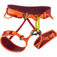 Edelrid Jay Harness