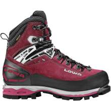 Lowa Mountain Expert GTX Evo Weigh My Rack