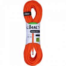 Beal 9.8mm Karma Classic Rope