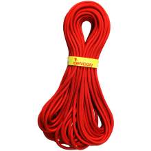 Tendon 9.2mm Master Pro 2xDry Rope