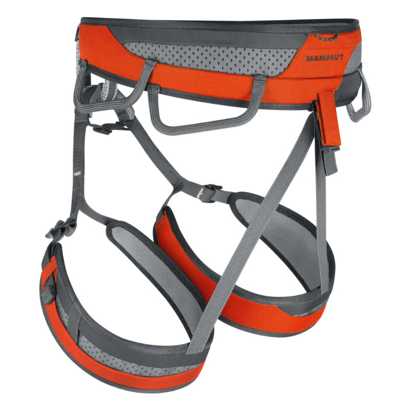 mammut ophir