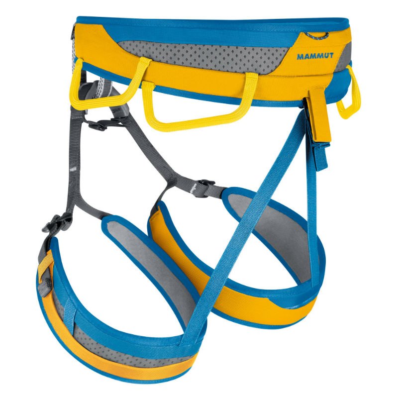 ophir mammut