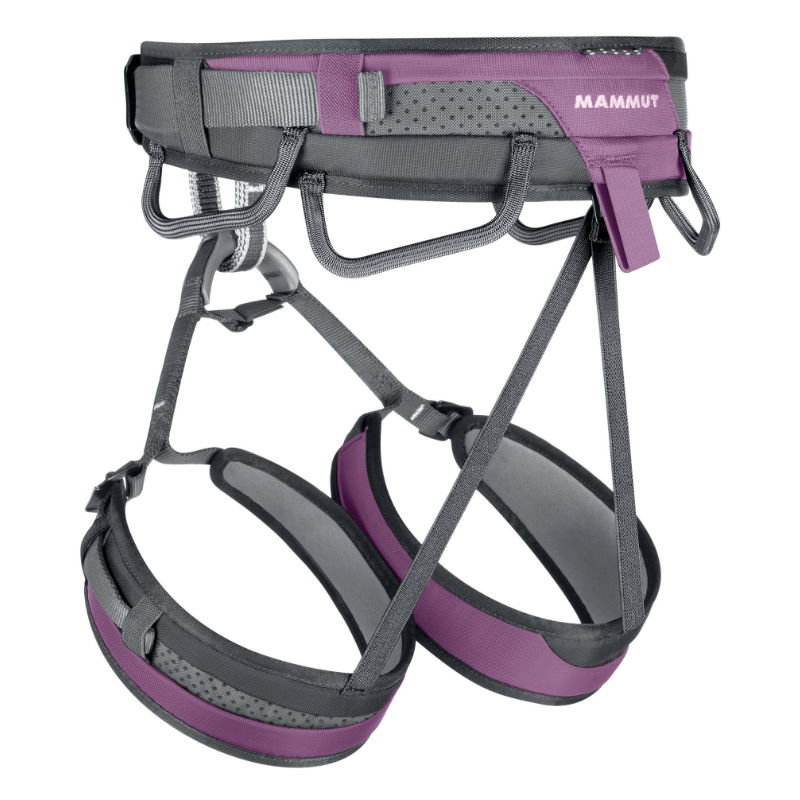 mammut ophir