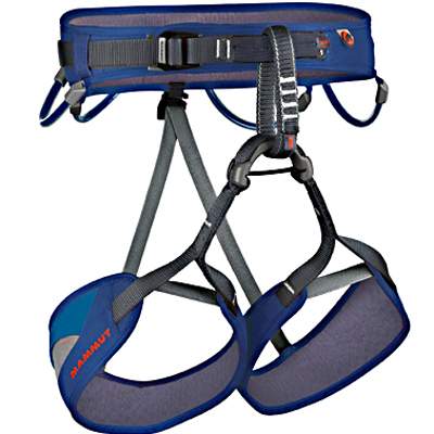 ophir mammut